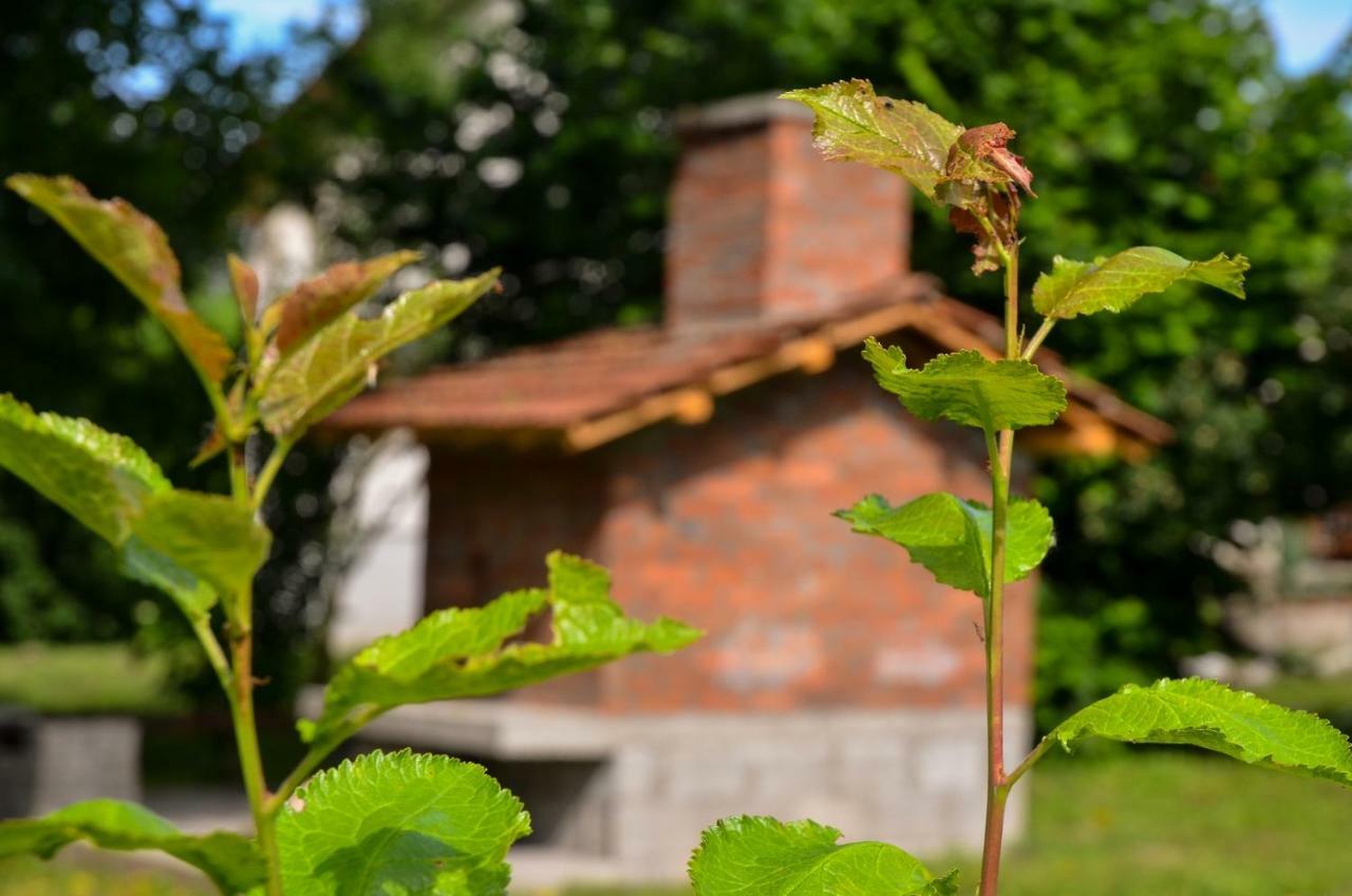 Kuca Za Odmor Radovanovic Despotovac Exterior photo