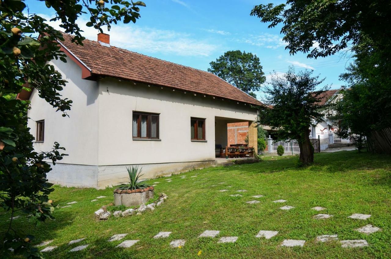 Kuca Za Odmor Radovanovic Despotovac Exterior photo